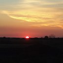 ���� Gul, ������ - ��������� 7 ���� 2018