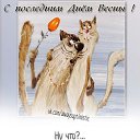 ���� �����, �������, 63 ���� - ��������� 1 ���� 2018 � ������ ������ ��������