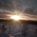 ���� ���������, ������, 44 ���� - ��������� 31 ����� 2018 � ������ ���� ����������