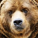 ���� ����, ���������, 44 ���� - ��������� 5 ������� 2018 � ������ ���� ����������