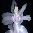 ���� �����, �����, 55 ��� - ��������� 24 ������ 2018 � ������ ���� ����������