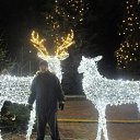 ���� �����, ����������, 37 ��� - ��������� 19 ������� 2017 � ������ �gorod2017�
