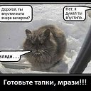 ���� �������, ������� - ��������� 29 ������ 2018 � ������ ������ ��������