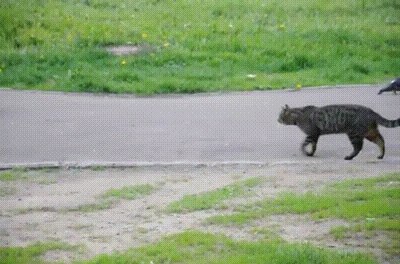  - Ѩ! - - - 21  2018  21:15