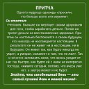 ���� ������, ���������, 64 ���� - ��������� 23 ������ 2018 � ������ ���� ����������