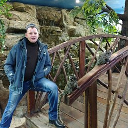 �������, ����������, 43 ����