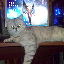 ���� ������, ��������, 60 ��� - ��������� 9 ������ 2018 � ������ ����ۻ