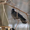 ���� ������, ������, 49 ��� - ��������� 13 ������� 2018 � ������ �������� SONY 75-300 + �����