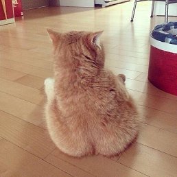 Victoria, ���, 24 ����