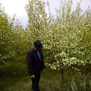 ���� ���������, ������������, 50 ��� - ��������� 29 ��� 2018 � ������ ���� ����������