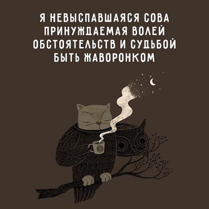    - 16  2018  02:48