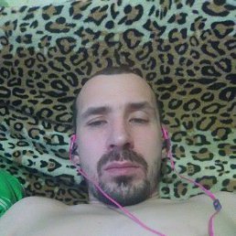 ������, �����-���������, 41 ���