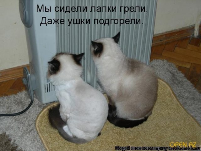 � ����� �����! - 4 ������� 2017 � 06:54