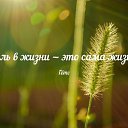 ���� ��������, �����-���������, 51 ��� - ��������� 26 ������� 2018 � ������ ���� ����������