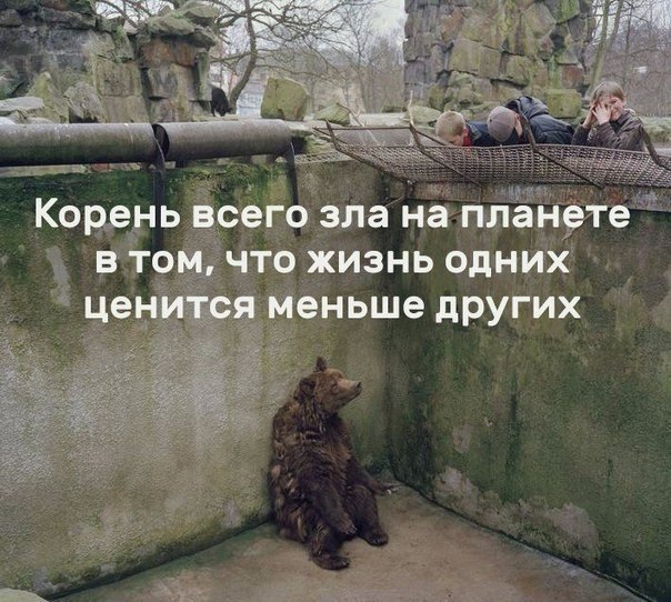 ������, ����������, �������, �������, ��������� - 14 ������� 2017 � 04:01