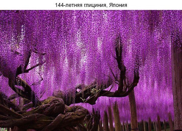 9 ����� ������������ �������� � ���� ���� - 5