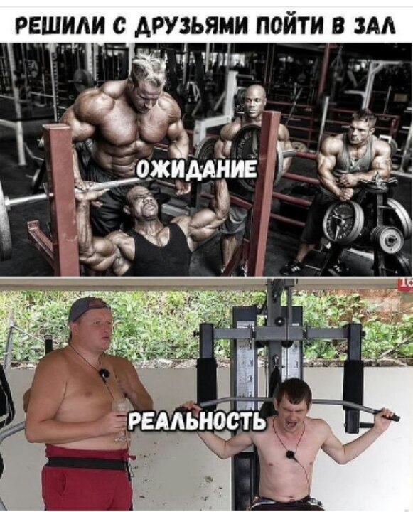 SportFeed - 13  2017  03:41