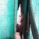 ���� �������, ��������, 41 ��� - ��������� 6 ���� 2018 � ������ ���� ����������
