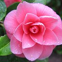 ���� Evi, ������ - ��������� 6 ������ 2018