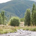 ���� ������� �������, �����, 48 ��� - ��������� 25 ������� 2018