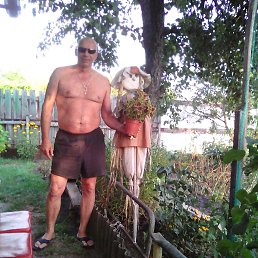 ���� Sereja, ������, 29 ��� - ��������� 15 ����� 2018