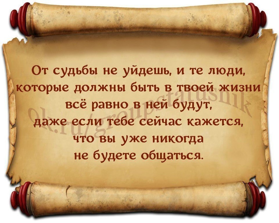         .  !!!   ,   ...