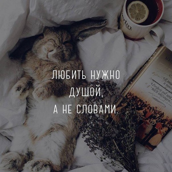    - 7  2018  14:34