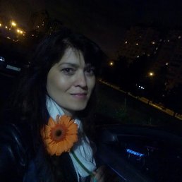 ����, �����-���������, 45 ���