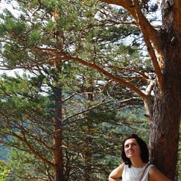 ���� �������, ����������, 51 ��� - ��������� 10 ������� 2018