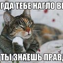 ���� Milena, ������ - ��������� 17 ������� 2017 � ������ ������ ��������