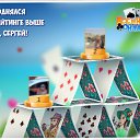 ���� �������, �������, 64 ���� - ��������� 13 ������� 2017 � ������ �������� �������-�������