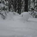 ���� �������, �����-���������, 66 ��� - ��������� 23 ���� 2018 � ������ ���� ����������