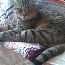 ���� Olga, ���������, 74 ���� - ��������� 2 ������� 2017 � ������ ���� ����������