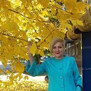 ���� O����, ��������, 44 ���� - ��������� 5 ������� 2017 � ������ ���������� ������