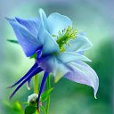 ���� �������, �������, 50 ��� - ��������� 3 ������ 2018 � ������ ���� ����������