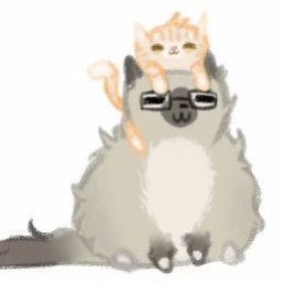 ����, ��������, 29 ���