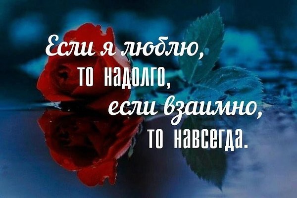 ��������� - 5 ����� 2018 � 18:51