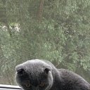 ���� ���������, ����, 49 ��� - ��������� 14 ������ 2018 � ������ ���� ����������