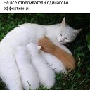 ���� ����, �������-��������� - ��������� 23 ���� 2018 � ������ ������