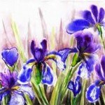 Девушки, предпочитающие ирисы и гладиолусы.Эти девушки, как правило, энергичны, сильны, ...