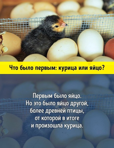 ���� - 4 ����� 2018 � 01:33 - 7