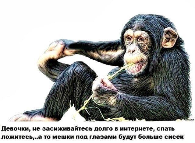 ***Victoria Viktorovna*** - 4  2018  08:42