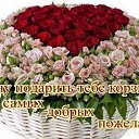 ���� ������, ������ - ��������� 24 ������ 2017 � ������ ������ ��������