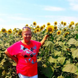 ���� �����, �����-���������, 62 ���� - ��������� 7 ������ 2018