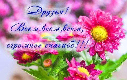 �������) - 6 ������� 2017 � 13:36