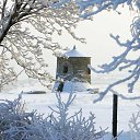 ���� �������, �������, 48 ��� - ��������� 12 ������ 2018