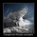  ,   !, - -  13  2018    