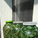 ���� �������, ��������, 58 ��� - ��������� 24 ���� 2018 � ������ ������ ��������