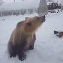 ���� ������, ���������� - ��������� 10 ���� 2018 � ������ ���� ����������