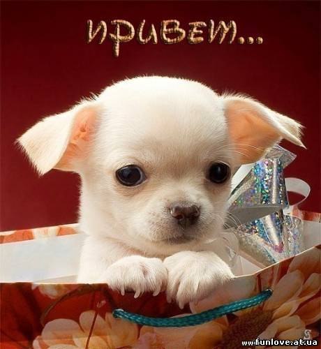Все Номы Отвечу !!! Валя!. - 5 января 2018 в 23:50